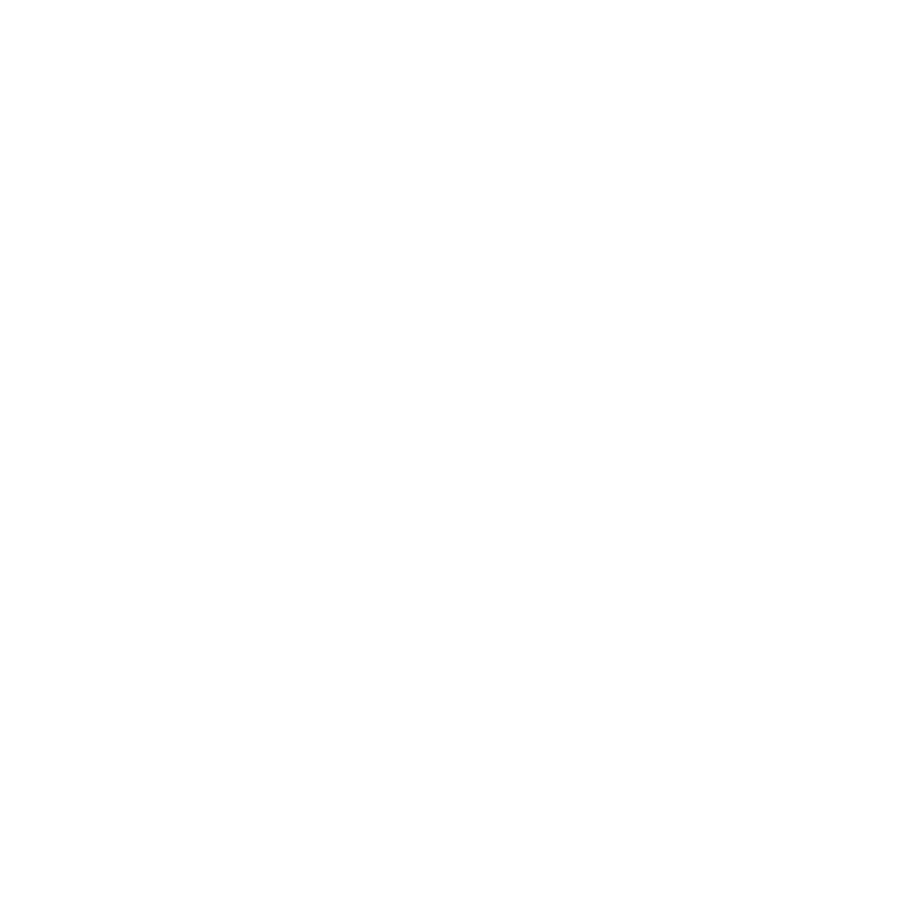 We Are In The Future Logo in white